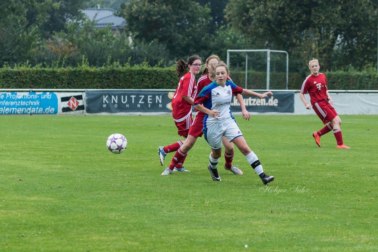 Bild 223 - B-Juniorinnen SV Henstedt Ulzburg - SV Wahlstedt : Ergebnis: 11:0